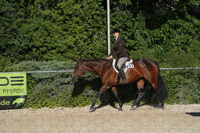 sA9K05943.JPG